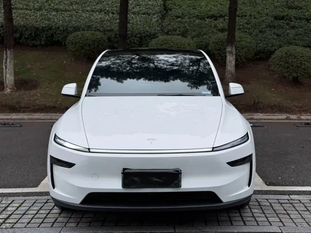 Tesla Model Y — Фото автомобиля 2