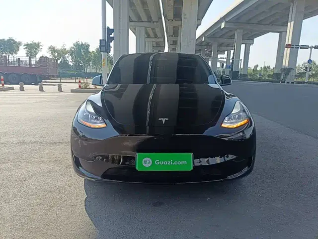 Tesla Model Y — Фото автомобиля 2