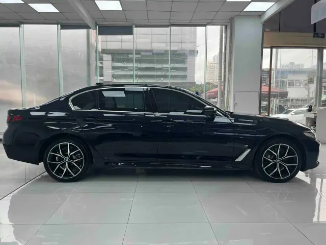 BMW 5 Series — Фото автомобиля 10