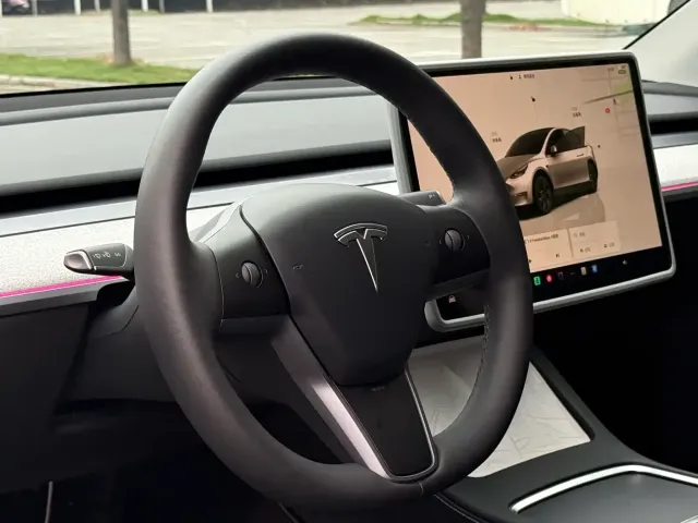 Tesla Model Y 2024 Rear-Wheel Drive Version — Фото автомобиля 6