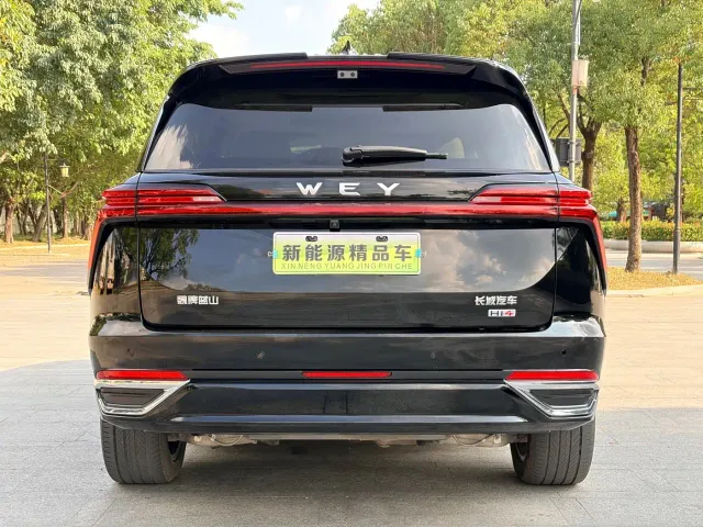 Wey Lanshan — Фото автомобиля 5