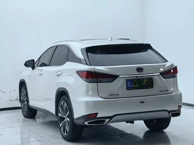 Lexus RX — Фото автомобиля 18