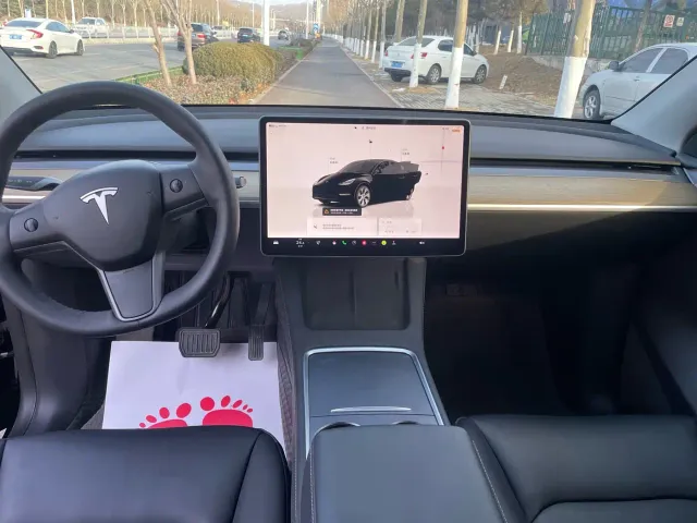 Tesla Model Y — Фото автомобиля 10
