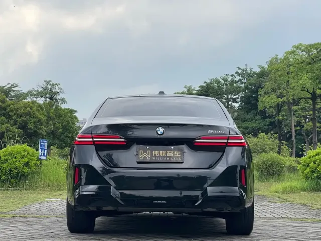 BMW 5 Series — Фото автомобиля 5