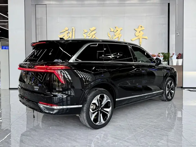 Wey Lanshan — Фото автомобиля 18