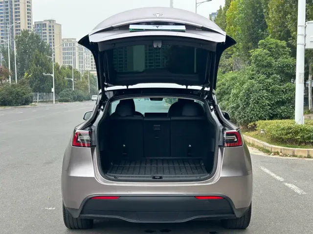 Tesla Model Y — Фото автомобиля 9