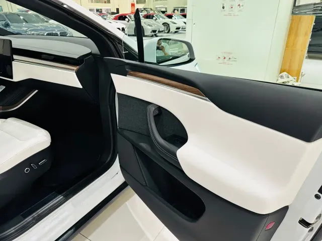 Tesla Model X — Фото автомобиля 25