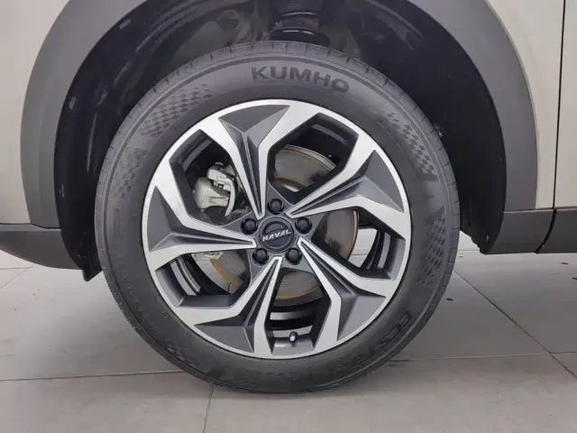 Haval Shenshou — Фото автомобиля 17