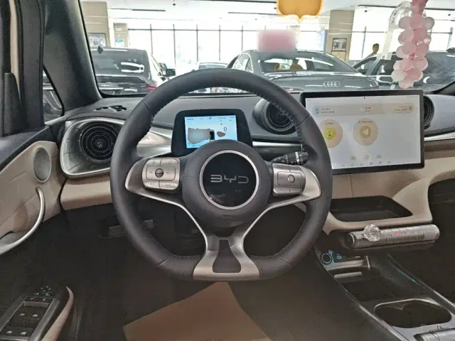 BYD Dolphin 2025 420km Freedom Edition — Фото автомобиля 10