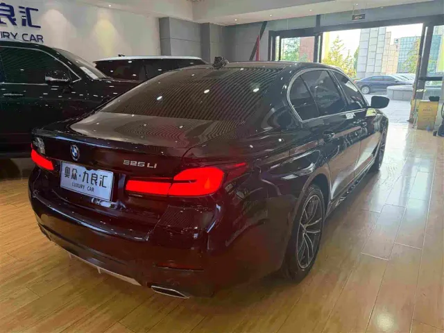 BMW 5 Series — Фото автомобиля 11