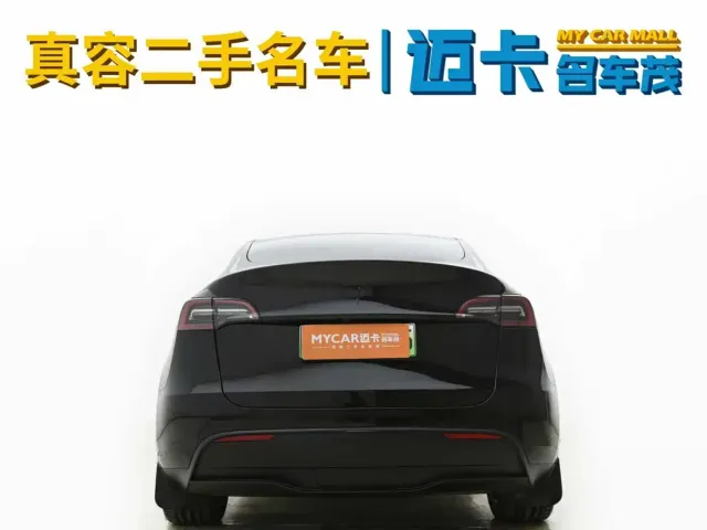 Tesla Model Y — Фото автомобиля 13