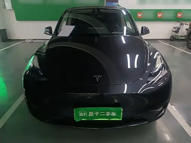Tesla Model Y — Фото автомобиля 2