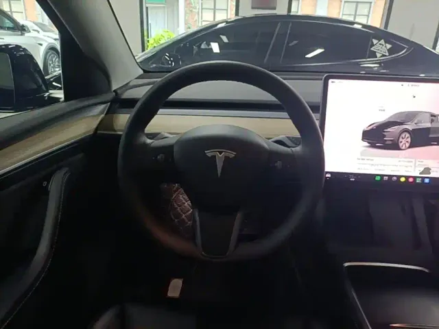 Tesla Model Y — Фото автомобиля 10