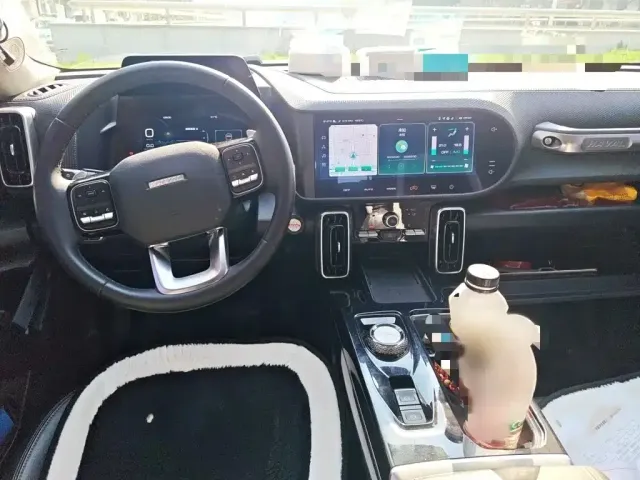 Haval Haval Big Dog 2022 1.5T DCT FWD Border Collie Edition — Фото автомобиля 12