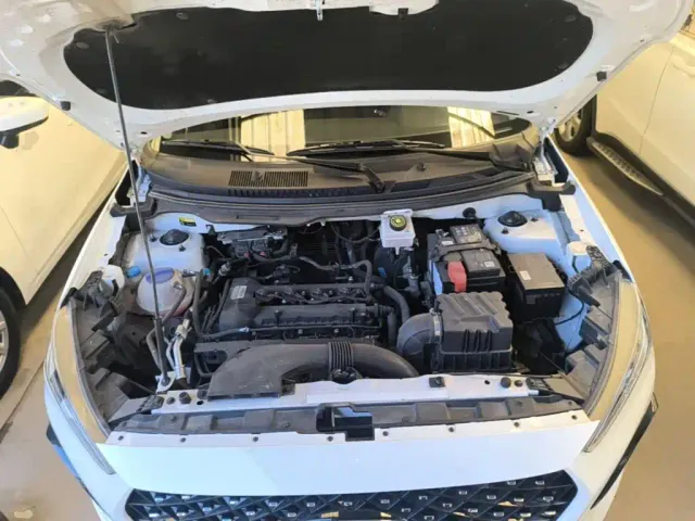 Chery Tiggo 3x — Фото автомобиля 19