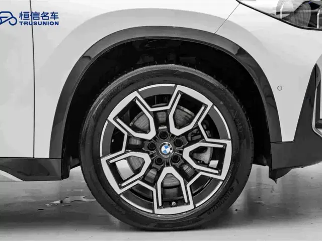 BMW X1 — Фото автомобиля 11