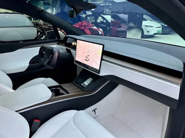 Tesla Model X — Фото автомобиля 10