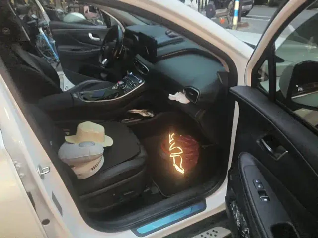 Hyundai Santa Fe — Фото автомобиля 12