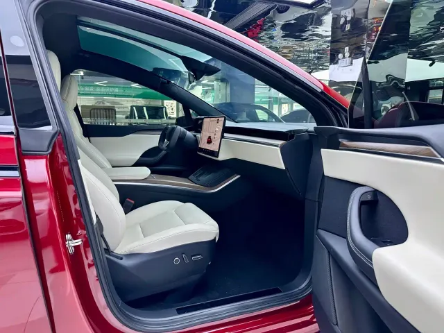 Tesla Model X — Фото автомобиля 11