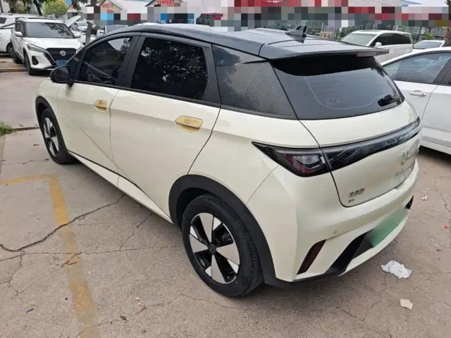 BYD Dolphin — Фото автомобиля 4
