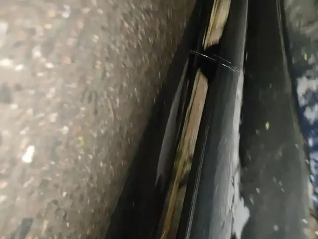 Tesla Model 3 — Фото автомобиля 17