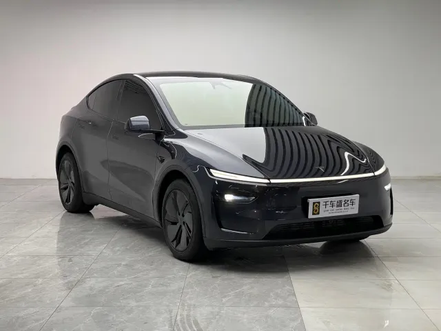Tesla Model Y — Фото автомобиля 3