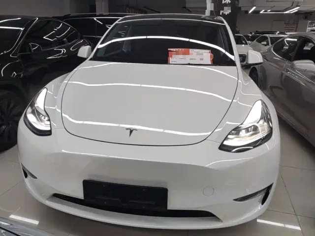 Tesla Model Y — Фото автомобиля 2