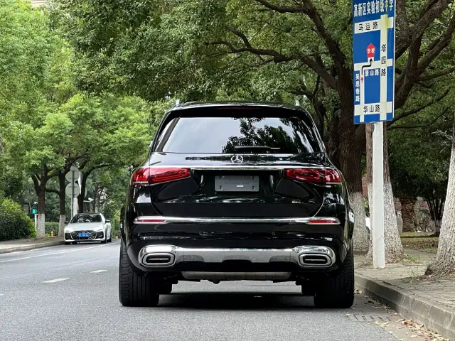 Mercedes-Benz Maybach GLS 2022 GLS 480 4MATIC — Фото автомобиля 23