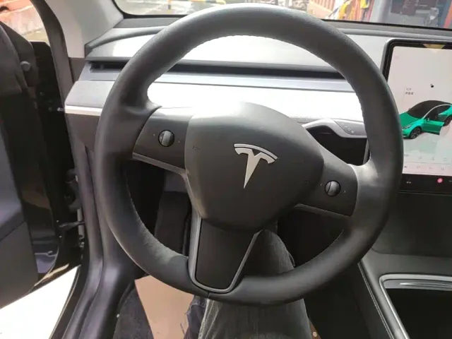 Tesla Model Y — Фото автомобиля 10