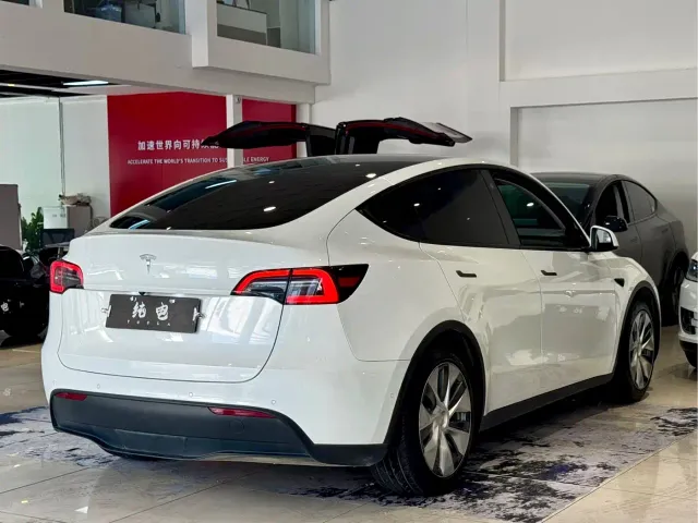 Tesla Model Y — Фото автомобиля 15