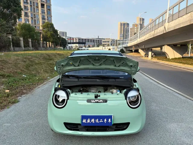 Changan Lumin — Фото автомобиля 19