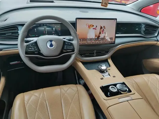 Denza Denza D9 2022 DM-i 970 All-Wheel Drive Honor Edition — Фото автомобиля 12
