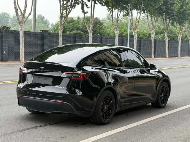 Tesla Model Y — Фото автомобиля 6