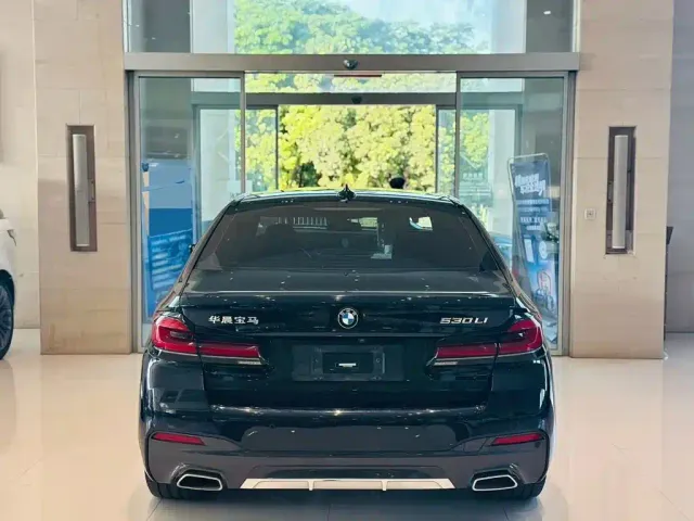 BMW 5 Series — Фото автомобиля 8