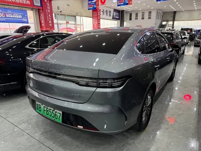BYD Destroyer 05 — Фото автомобиля 15