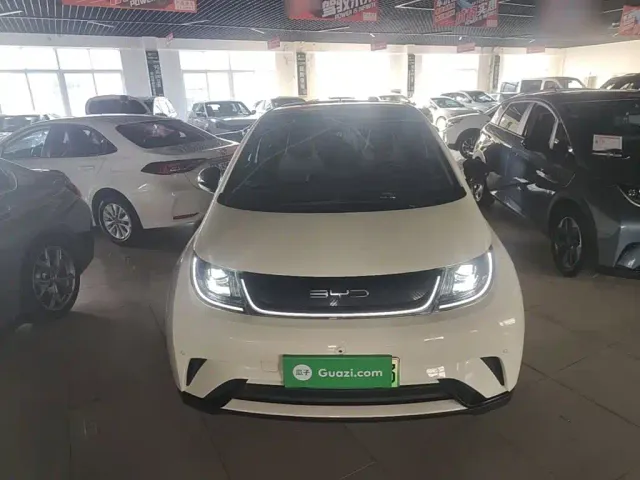 BYD Dolphin — Фото автомобиля 2