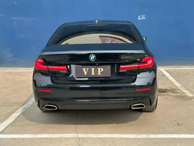 BMW 5 Series — Фото автомобиля 8