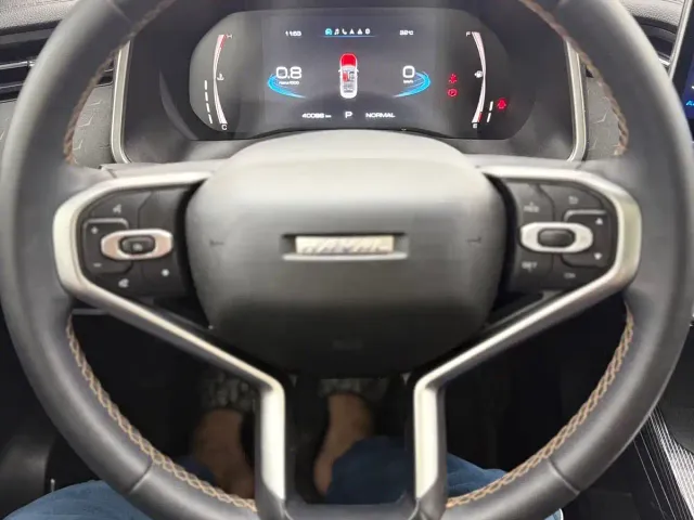 Haval Chitu — Фото автомобиля 19