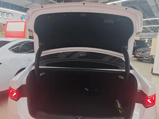 BYD Qin PLUS — Фото автомобиля 18