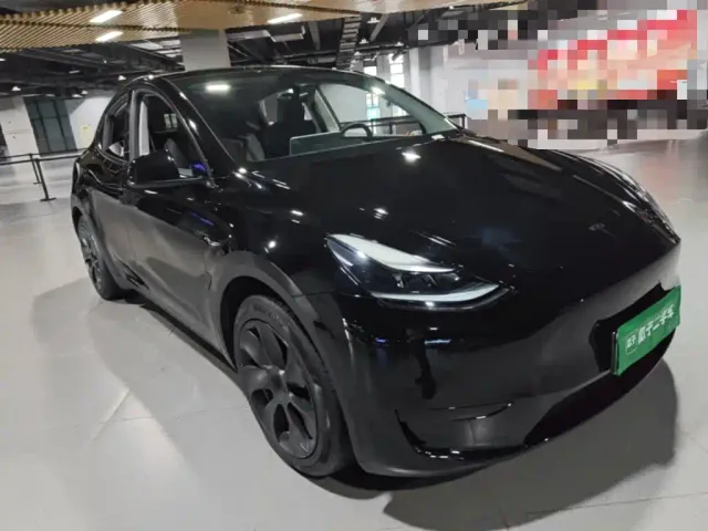 Tesla Model Y — Фото автомобиля 3