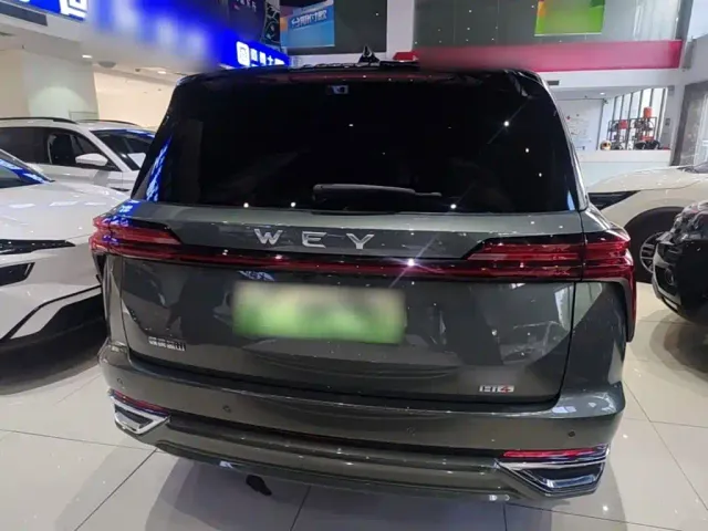 Wey Lanshan — Фото автомобиля 5