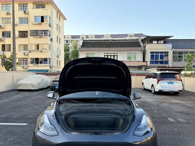 Tesla Model Y — Фото автомобиля 19