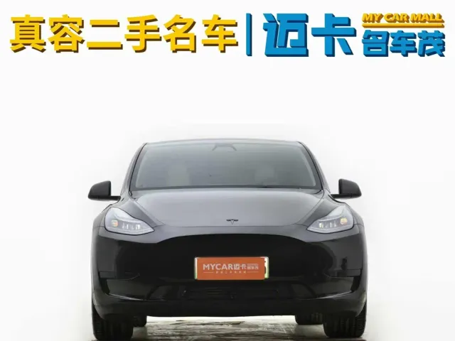 Tesla Model Y — Фото автомобиля 3