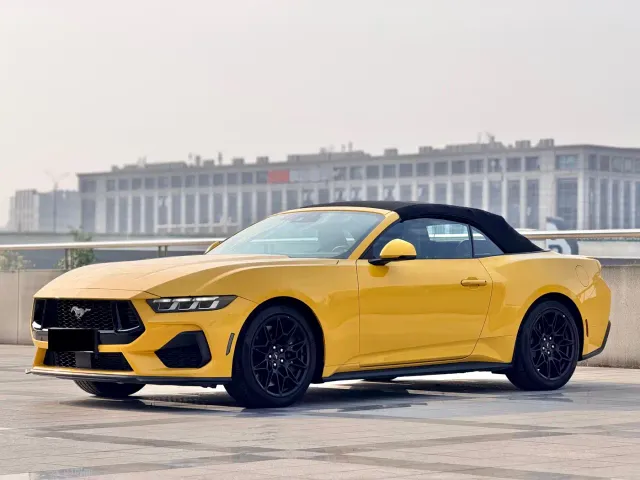 Ford Mustang — Фото автомобиля 9