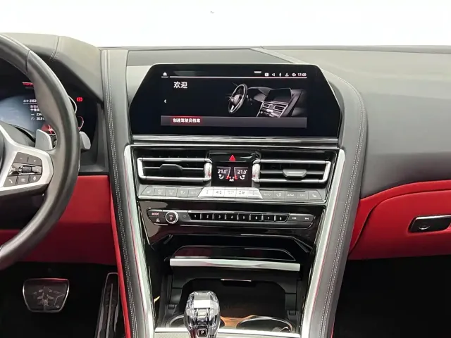 BMW 8 Series — Фото автомобиля 25