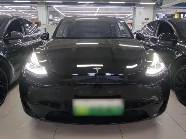 Tesla Model Y — Фото автомобиля 2