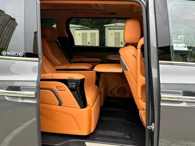 Wey Alpine — Фото автомобиля 8