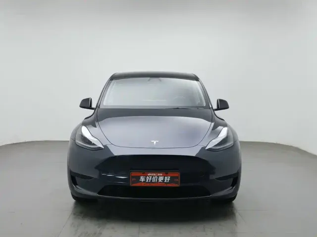 Tesla Model Y — Фото автомобиля 3