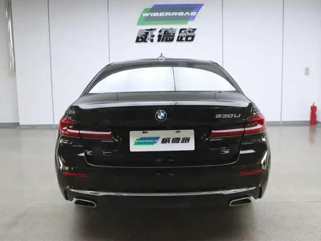 BMW 5 Series — Фото автомобиля 7