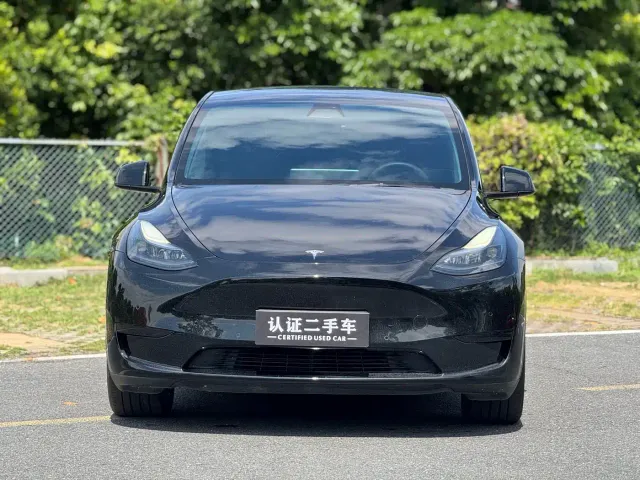 Tesla Model Y — Фото автомобиля 2